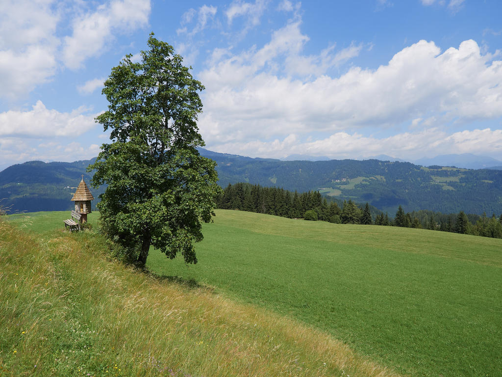 Alpengasthof Moser Karchau Exteriör bild